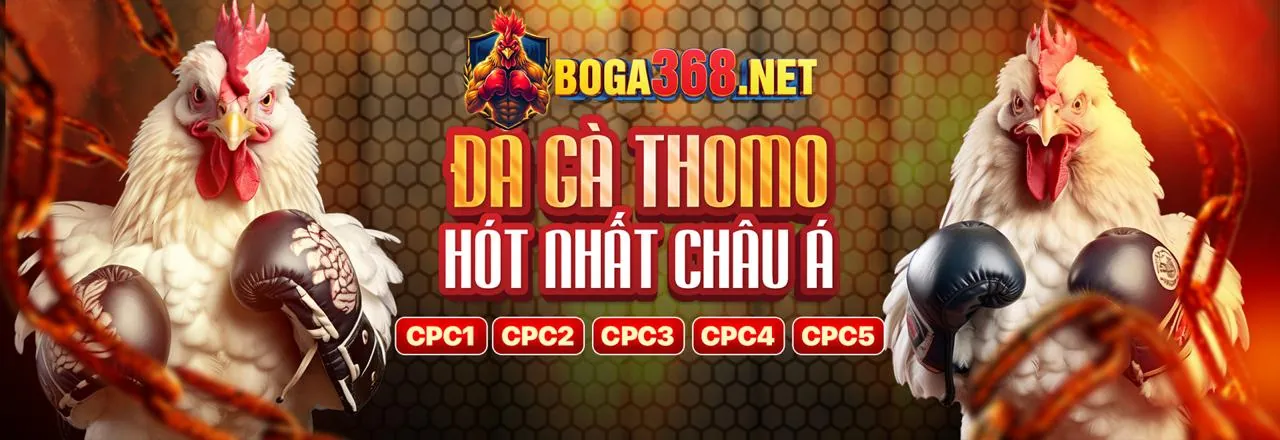 Đá Gà Trực Tuyến FU88 Đăng Nhập